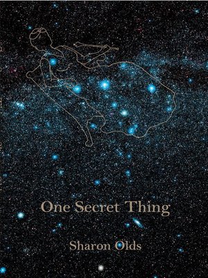 cover image of One Secret Thing